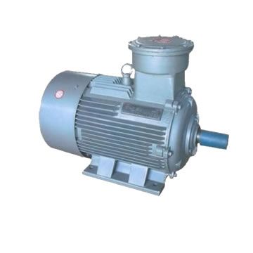 低壓防爆電機(jī)